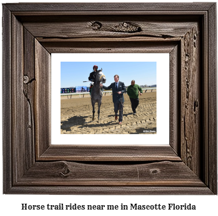 horse trail rides near me in Mascotte, Florida